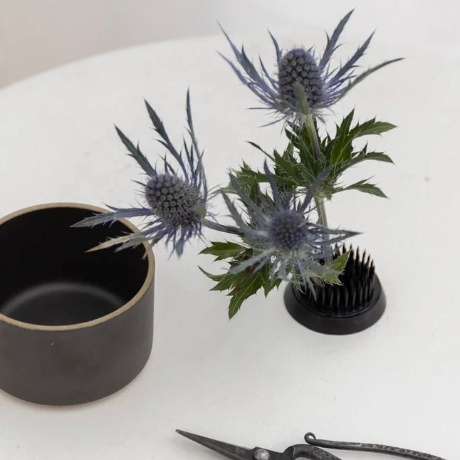 Ikebana Kenzan Flower Frog